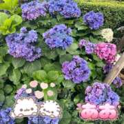 ヒメ日記 2026/06/17 21:16 投稿 あお 吉祥寺角海老