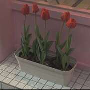 ヒメ日記 2026/04/28 01:43 投稿 ルミナ Club NANA 大阪