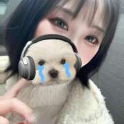 ヒメ日記 2026/04/15 10:52 投稿 あまゆるみこ にゃんだ☆full☆MIX（にゃんだふるみっくす）