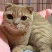ヒメ日記 2026/08/14 16:11 投稿 ころも 若葉