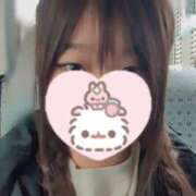 ヒメ日記 2026/04/15 11:29 投稿 なお スピードエコ日本橋店