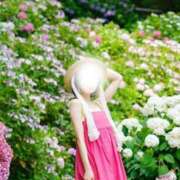ヒメ日記 2026/08/06 09:16 投稿 琴子(ことこ) 人妻出逢い会 百合の園 品川店
