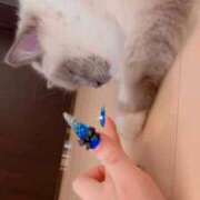 ヒメ日記 2026/04/16 11:16 投稿 アリス COCOMERO（ココメロ）