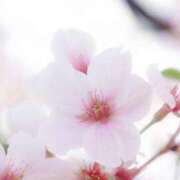 ヒメ日記 2026/04/21 19:48 投稿 綾瀬(あやせ) 相模原人妻城