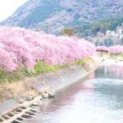 ヒメ日記 2026/04/22 20:18 投稿 綾瀬(あやせ) 相模原人妻城