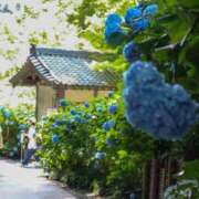 綾瀬(あやせ) こんばんは🧸 相模原人妻城