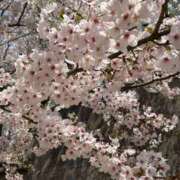 ヒメ日記 2026/04/17 17:41 投稿 桜庭 るな アソビザ女子社員 イメクラ部