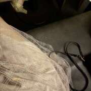 ヒメ日記 2026/08/10 20:40 投稿 あみる 中目黒 2shot♥Lounge