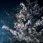 ヒメ日記 2026/04/19 23:50 投稿 のん 柏人妻花壇