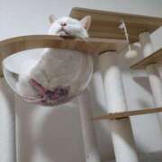 ヒメ日記 2026/04/22 12:19 投稿 しゅう 西船人妻花壇