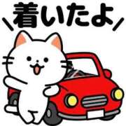 ヒメ日記 2026/06/27 14:01 投稿 きこ 愛知弥富ちゃんこ