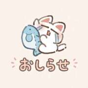 小熊～KOGUMA～ お知らせ.⋆𝜗𝜚. BBW大宮店