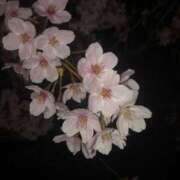 エル [お題]from:お茶さん ラブコレクション