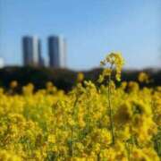 ヒメ日記 2026/04/29 12:34 投稿 いろは 濃厚即19妻