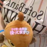 ヒメ日記 2026/05/10 01:38 投稿 あみ 福岡ちゃんこ大牟田店