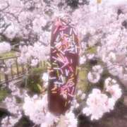 ヒメ日記 2026/04/16 12:21 投稿 こなつ 小田原人妻城