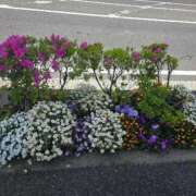 ヒメ日記 2026/04/22 10:05 投稿 りさこ 横浜おかあさん