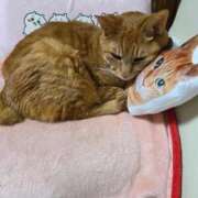ヒメ日記 2026/06/22 10:45 投稿 りさこ 横浜おかあさん