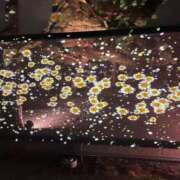 ヒメ日記 2026/04/16 13:45 投稿 麻衣子(まいこ) 高知デリヘル倶楽部 人妻熟女専門店