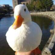 ヒメ日記 2026/04/18 10:45 投稿 麻衣子(まいこ) 高知デリヘル倶楽部 人妻熟女専門店