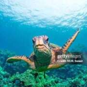 ヒメ日記 2026/04/21 09:02 投稿 麻衣子(まいこ) 高知デリヘル倶楽部 人妻熟女専門店