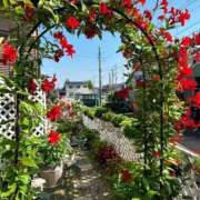 ヒメ日記 2026/04/23 19:03 投稿 麻衣子(まいこ) 高知デリヘル倶楽部 人妻熟女専門店