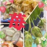 ヒメ日記 2026/05/11 20:31 投稿 麻衣子(まいこ) 高知デリヘル倶楽部 人妻熟女専門店