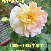 ヒメ日記 2026/05/25 08:31 投稿 麻衣子(まいこ) 高知デリヘル倶楽部 人妻熟女専門店