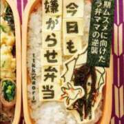 ヒメ日記 2026/05/25 12:06 投稿 麻衣子(まいこ) 高知デリヘル倶楽部 人妻熟女専門店