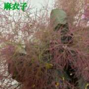ヒメ日記 2026/05/28 21:32 投稿 麻衣子(まいこ) 高知デリヘル倶楽部 人妻熟女専門店