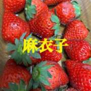 ヒメ日記 2026/05/31 19:31 投稿 麻衣子(まいこ) 高知デリヘル倶楽部 人妻熟女専門店
