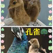 ヒメ日記 2026/06/02 08:15 投稿 麻衣子(まいこ) 高知デリヘル倶楽部 人妻熟女専門店
