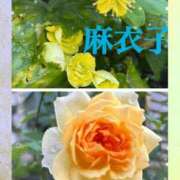 ヒメ日記 2026/06/10 09:02 投稿 麻衣子(まいこ) 高知デリヘル倶楽部 人妻熟女専門店