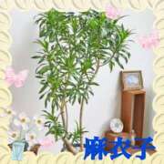 ヒメ日記 2026/06/12 10:45 投稿 麻衣子(まいこ) 高知デリヘル倶楽部 人妻熟女専門店