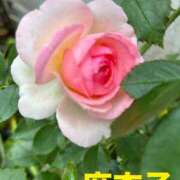 ヒメ日記 2026/06/15 18:16 投稿 麻衣子(まいこ) 高知デリヘル倶楽部 人妻熟女専門店