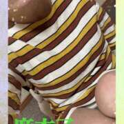 ヒメ日記 2026/06/24 10:02 投稿 麻衣子(まいこ) 高知デリヘル倶楽部 人妻熟女専門店