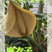 ヒメ日記 2026/06/24 23:46 投稿 麻衣子(まいこ) 高知デリヘル倶楽部 人妻熟女専門店