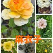 ヒメ日記 2026/07/08 07:33 投稿 麻衣子(まいこ) 高知デリヘル倶楽部 人妻熟女専門店