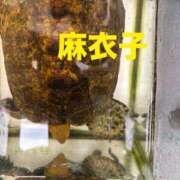 ヒメ日記 2026/07/12 16:02 投稿 麻衣子(まいこ) 高知デリヘル倶楽部 人妻熟女専門店