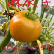 ヒメ日記 2026/07/28 07:02 投稿 麻衣子(まいこ) 高知デリヘル倶楽部 人妻熟女専門店