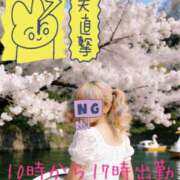 ヒメ日記 2026/07/30 22:45 投稿 麻衣子(まいこ) 高知デリヘル倶楽部 人妻熟女専門店