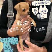 ヒメ日記 2026/08/01 05:45 投稿 麻衣子(まいこ) 高知デリヘル倶楽部 人妻熟女専門店