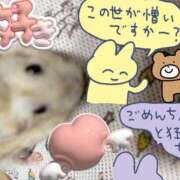 ヒメ日記 2026/08/04 08:02 投稿 麻衣子(まいこ) 高知デリヘル倶楽部 人妻熟女専門店