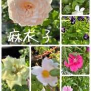 ヒメ日記 2026/08/31 10:15 投稿 麻衣子(まいこ) 高知デリヘル倶楽部 人妻熟女専門店