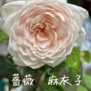 ヒメ日記 2026/09/05 07:45 投稿 麻衣子(まいこ) 高知デリヘル倶楽部 人妻熟女専門店