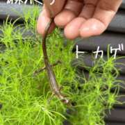 ヒメ日記 2026/09/05 10:16 投稿 麻衣子(まいこ) 高知デリヘル倶楽部 人妻熟女専門店