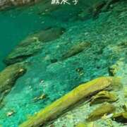 ヒメ日記 2026/09/11 21:04 投稿 麻衣子(まいこ) 高知デリヘル倶楽部 人妻熟女専門店