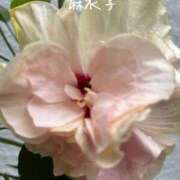 ヒメ日記 2026/09/12 08:16 投稿 麻衣子(まいこ) 高知デリヘル倶楽部 人妻熟女専門店