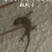 ヒメ日記 2026/09/15 18:45 投稿 麻衣子(まいこ) 高知デリヘル倶楽部 人妻熟女専門店