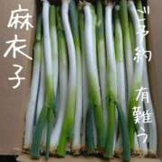 ヒメ日記 2026/09/16 17:03 投稿 麻衣子(まいこ) 高知デリヘル倶楽部 人妻熟女専門店